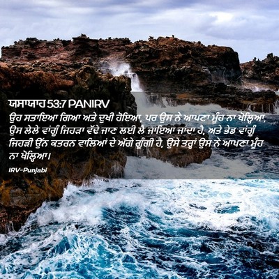 Picture 02 - ਯਸਾਯਾਹ 53:7 PANIRV - ਉਹ ਸਤਾਇਆ ਗਿਆ ਅਤੇ - Bible Verse Picture
