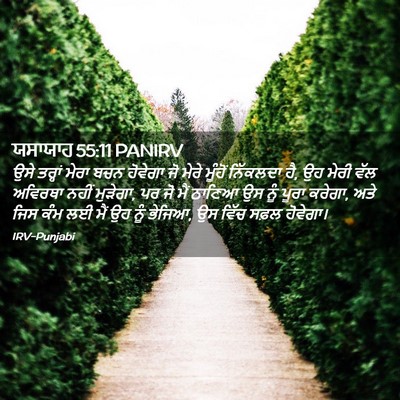 Picture 02 - ਯਸਾਯਾਹ 55:11 PANIRV - ਉਸੇ ਤਰ੍ਹਾਂ ਮੇਰਾ - Bible Verse Picture