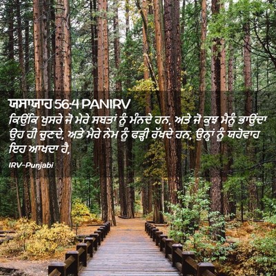 Picture 02 - ਯਸਾਯਾਹ 56:4 PANIRV - ਕਿਉਂਕਿ ਖੁਸਰੇ ਜੋ - Bible Verse Picture