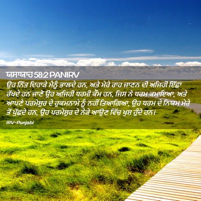 Picture 02 - ਯਸਾਯਾਹ 58:2 PANIRV - ਉਹ ਨਿੱਤ ਦਿਹਾੜੇ - Bible Verse Picture