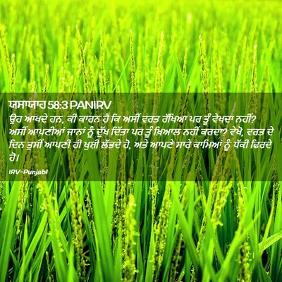 Picture 02 - ਯਸਾਯਾਹ 58:3 PANIRV - ਉਹ ਆਖਦੇ ਹਨ, ਕੀ ਕਾਰਨ - Bible Verse Picture