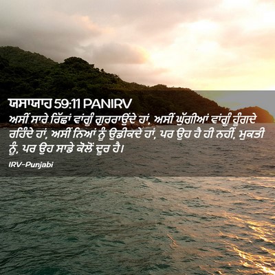 Picture 02 - ਯਸਾਯਾਹ 59:11 PANIRV - ਅਸੀਂ ਸਾਰੇ ਰਿੱਛਾਂ - Bible Verse Picture