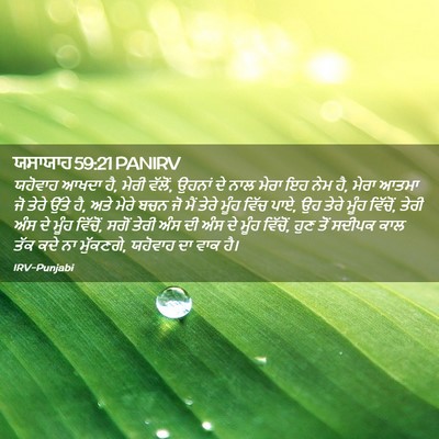 Picture 02 - ਯਸਾਯਾਹ 59:21 PANIRV - ਯਹੋਵਾਹ ਆਖਦਾ ਹੈ, - Bible Verse Picture