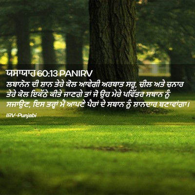 Picture 02 - ਯਸਾਯਾਹ 60:13 PANIRV - ਲਬਾਨੋਨ ਦੀ ਸ਼ਾਨ - Bible Verse Picture