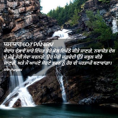 Picture 02 - ਯਸਾਯਾਹ 60:7 PANIRV - ਕੇਦਾਰ ਦੇਸ ਦੇ ਸਾਰੇ - Bible Verse Picture