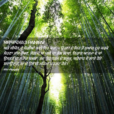 Picture 02 - ਯਸਾਯਾਹ 61:3 PANIRV - ਅਤੇ ਸੀਯੋਨ ਦੇ - Bible Verse Picture