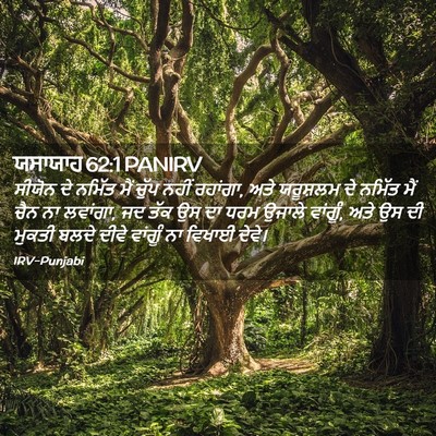 Picture 02 - ਯਸਾਯਾਹ 62:1 PANIRV - ਸੀਯੋਨ ਦੇ ਨਮਿੱਤ ਮੈਂ - Bible Verse Picture