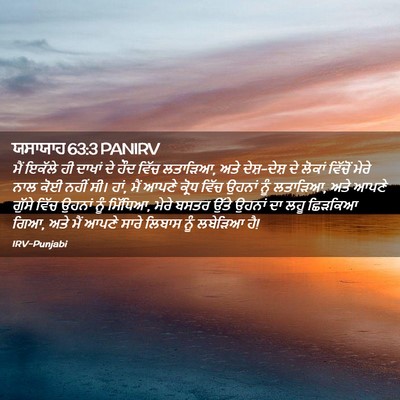 Picture 02 - ਯਸਾਯਾਹ 63:3 PANIRV - ਮੈਂ ਇਕੱਲੇ ਹੀ ਦਾਖਾਂ - Bible Verse Picture