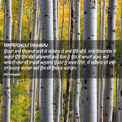 Picture 02 - ਯਸਾਯਾਹ 63:7 PANIRV - ਉਹਨਾਂ ਸਾਰੇ - Bible Verse Picture