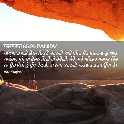 Picture 02 - ਯਸਾਯਾਹ 65:25 PANIRV - ਬਘਿਆੜ ਅਤੇ ਲੇਲਾ - Bible Verse Picture
