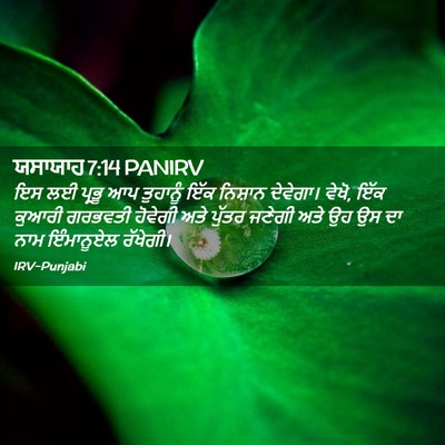 Picture 02 - ਯਸਾਯਾਹ 7:14 PANIRV - ਇਸ ਲਈ ਪ੍ਰਭੂ ਆਪ - Bible Verse Picture