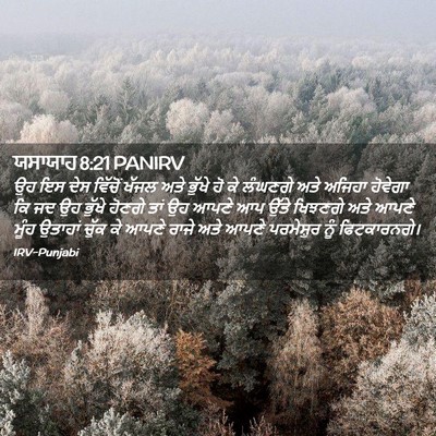 Picture 02 - ਯਸਾਯਾਹ 8:21 PANIRV - ਉਹ ਇਸ ਦੇਸ ਵਿੱਚੋਂ - Bible Verse Picture
