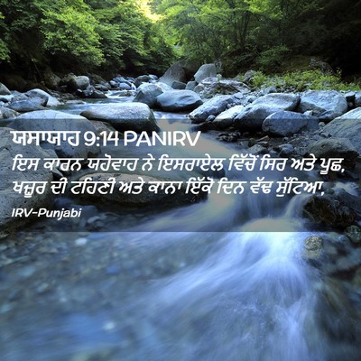 Picture 02 - ਯਸਾਯਾਹ 9:14 PANIRV - ਇਸ ਕਾਰਨ ਯਹੋਵਾਹ ਨੇ - Bible Verse Picture
