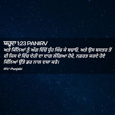 Picture 02 - ਯਹੂਦਾ 1:23 PANIRV - ਅਤੇ ਕਿੰਨਿਆਂ ਨੂੰ - Bible Verse Picture