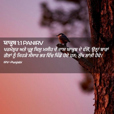 Picture 02 - ਯਾਕੂਬ 1:1 PANIRV - ਪਰਮੇਸ਼ੁਰ ਅਤੇ - Bible Verse Picture