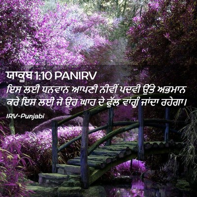 Picture 02 - ਯਾਕੂਬ 1:10 PANIRV - ਇਸ ਲਈ ਧਨਵਾਨ ਆਪਣੀ - Bible Verse Picture