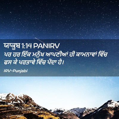 Picture 02 - ਯਾਕੂਬ 1:14 PANIRV - ਪਰ ਹਰ ਇੱਕ ਮਨੁੱਖ - Bible Verse Picture
