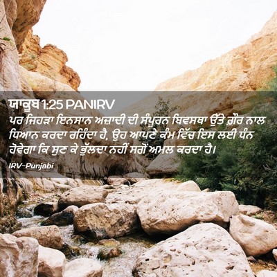 Picture 02 - ਯਾਕੂਬ 1:25 PANIRV - ਪਰ ਜਿਹੜਾ ਇਨਸਾਨ - Bible Verse Picture
