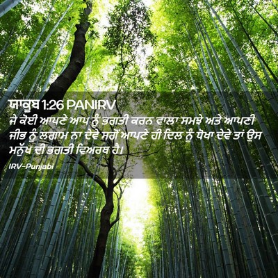 Picture 02 - ਯਾਕੂਬ 1:26 PANIRV - ਜੇ ਕੋਈ ਆਪਣੇ ਆਪ ਨੂੰ - Bible Verse Picture