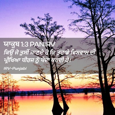 Picture 02 - ਯਾਕੂਬ 1:3 PANIRV - ਕਿਉਂ ਜੋ ਤੁਸੀਂ - Bible Verse Picture