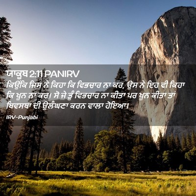 Picture 02 - ਯਾਕੂਬ 2:11 PANIRV - ਕਿਉਂਕਿ ਜਿਸ ਨੇ ਕਿਹਾ - Bible Verse Picture