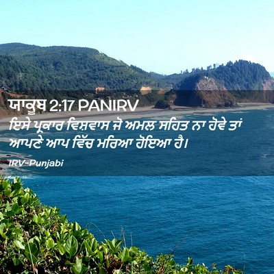 Picture 02 - ਯਾਕੂਬ 2:17 PANIRV - ਇਸੇ ਪ੍ਰਕਾਰ - Bible Verse Picture