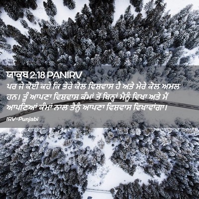 Picture 02 - ਯਾਕੂਬ 2:18 PANIRV - ਪਰ ਜੇ ਕੋਈ ਕਹੇ ਕਿ - Bible Verse Picture