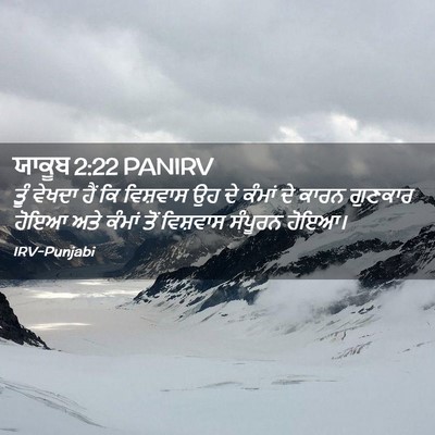 Picture 02 - ਯਾਕੂਬ 2:22 PANIRV - ਤੂੰ ਵੇਖਦਾ ਹੈਂ ਕਿ - Bible Verse Picture
