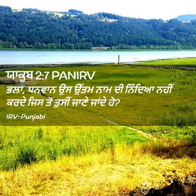 Picture 02 - ਯਾਕੂਬ 2:7 PANIRV - ਭਲਾ, ਧਨਵਾਨ ਉਸ ਉੱਤਮ - Bible Verse Picture