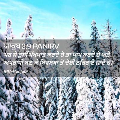 Picture 02 - ਯਾਕੂਬ 2:9 PANIRV - ਪਰ ਜੇ ਤੁਸੀਂ ਪੱਖਪਾਤ - Bible Verse Picture