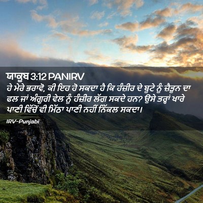 Picture 02 - ਯਾਕੂਬ 3:12 PANIRV - ਹੇ ਮੇਰੇ ਭਰਾਵੋ, ਕੀ - Bible Verse Picture