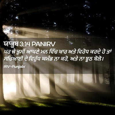 Picture 02 - ਯਾਕੂਬ 3:14 PANIRV - ਪਰ ਜੇ ਤੁਸੀਂ ਆਪਣੇ ਮਨ - Bible Verse Picture