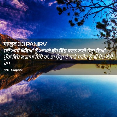 Picture 02 - ਯਾਕੂਬ 3:3 PANIRV - ਜਦੋਂ ਅਸੀਂ ਘੋੜਿਆਂ - Bible Verse Picture