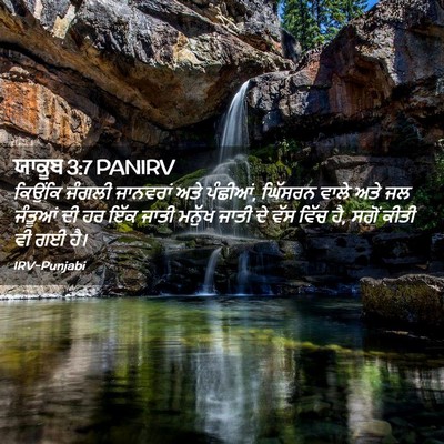 Picture 02 - ਯਾਕੂਬ 3:7 PANIRV - ਕਿਉਂਕਿ ਜੰਗਲੀ - Bible Verse Picture