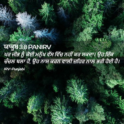 Picture 02 - ਯਾਕੂਬ 3:8 PANIRV - ਪਰ ਜੀਭ ਨੂੰ ਕੋਈ - Bible Verse Picture