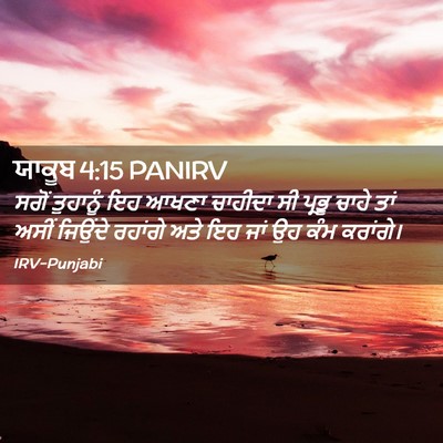 Picture 02 - ਯਾਕੂਬ 4:15 PANIRV - ਸਗੋਂ ਤੁਹਾਨੂੰ ਇਹ - Bible Verse Picture