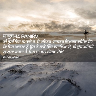 Picture 02 - ਯਾਕੂਬ 4:5 PANIRV - ਕੀ ਤੁਸੀਂ ਇਹ ਸਮਝਦੇ - Bible Verse Picture