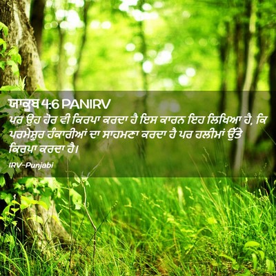 Picture 02 - ਯਾਕੂਬ 4:6 PANIRV - ਪਰ ਉਹ ਹੋਰ ਵੀ ਕਿਰਪਾ - Bible Verse Picture