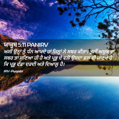 Picture 02 - ਯਾਕੂਬ 5:11 PANIRV - ਅਸੀਂ ਉਨ੍ਹਾਂ ਨੂੰ - Bible Verse Picture