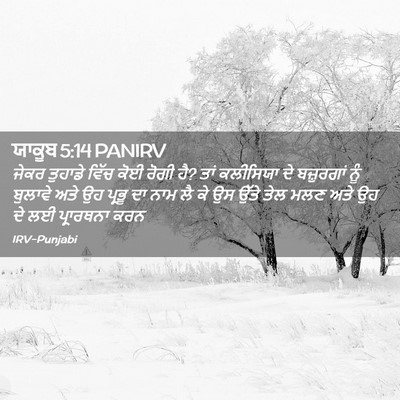Picture 02 - ਯਾਕੂਬ 5:14 PANIRV - ਜੇਕਰ ਤੁਹਾਡੇ ਵਿੱਚ - Bible Verse Picture