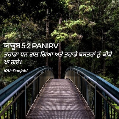 Picture 02 - ਯਾਕੂਬ 5:2 PANIRV - ਤੁਹਾਡਾ ਧਨ ਗਲ਼ ਗਿਆ - Bible Verse Picture