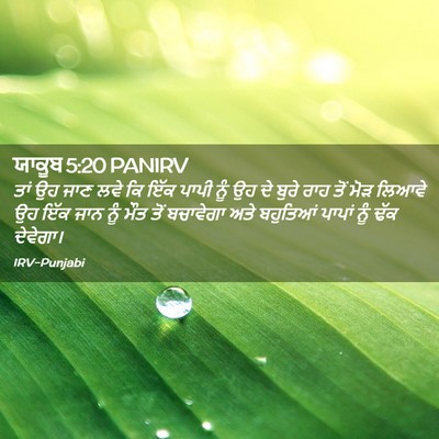 Picture 02 - ਯਾਕੂਬ 5:20 PANIRV - ਤਾਂ ਉਹ ਜਾਣ ਲਵੇ ਕਿ - Bible Verse Picture
