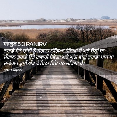 Picture 02 - ਯਾਕੂਬ 5:3 PANIRV - ਤੁਹਾਡੇ ਸੋਨੇ ਚਾਂਦੀ - Bible Verse Picture