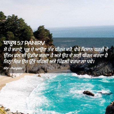 Picture 02 - ਯਾਕੂਬ 5:7 PANIRV - ਸੋ ਹੇ ਭਰਾਵੋ, ਪ੍ਰਭੂ - Bible Verse Picture