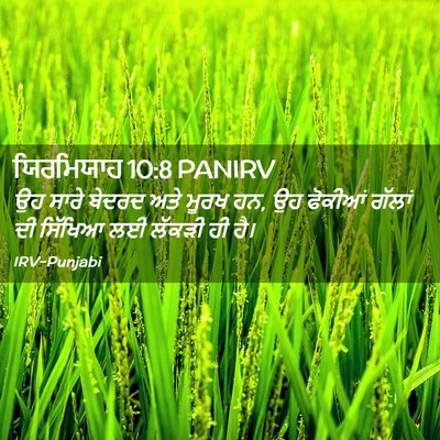 Picture 02 - ਯਿਰਮਿਯਾਹ 10:8 PANIRV - ਉਹ ਸਾਰੇ ਬੇਦਰਦ ਅਤੇ - Bible Verse Picture