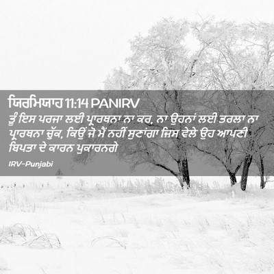 Picture 02 - ਯਿਰਮਿਯਾਹ 11:14 PANIRV - ਤੂੰ ਇਸ ਪਰਜਾ ਲਈ - Bible Verse Picture