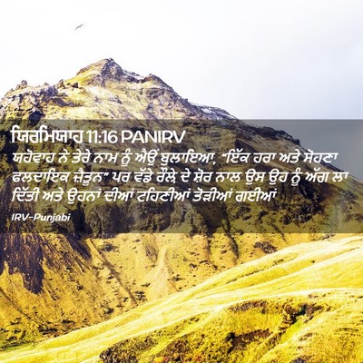 Picture 02 - ਯਿਰਮਿਯਾਹ 11:16 PANIRV - ਯਹੋਵਾਹ ਨੇ ਤੇਰੇ ਨਾਮ - Bible Verse Picture