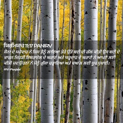 Picture 02 - ਯਿਰਮਿਯਾਹ 11:17 PANIRV - ਸੈਨਾਂ ਦੇ ਯਹੋਵਾਹ ਨੇ - Bible Verse Picture