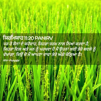 Picture 02 - ਯਿਰਮਿਯਾਹ 11:20 PANIRV - ਪਰ ਹੇ ਸੈਨਾਂ ਦੇ - Bible Verse Picture