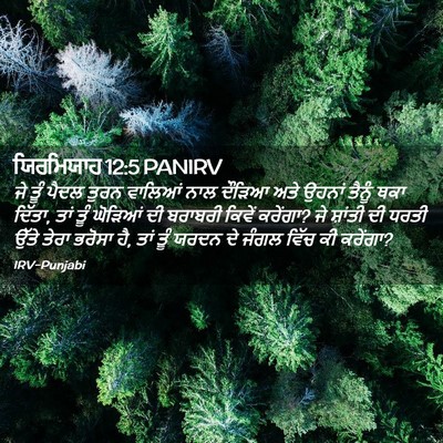 Picture 02 - ਯਿਰਮਿਯਾਹ 12:5 PANIRV - ਜੇ ਤੂੰ ਪੈਦਲ ਤੁਰਨ - Bible Verse Picture